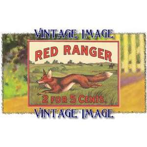   Cling 6 inch x 4 inch (14 x 10cm) Animals Red Ranger Fox Vintage Image