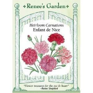  Carnation   Enfant de Nice Seeds: Patio, Lawn & Garden