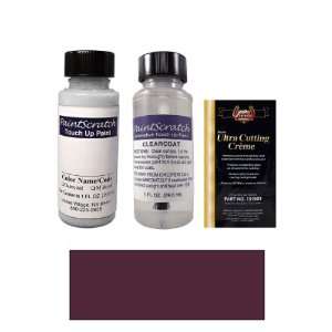   Pearl Paint Bottle Kit for 1995 Eagle Vision (MB/MMB): Automotive