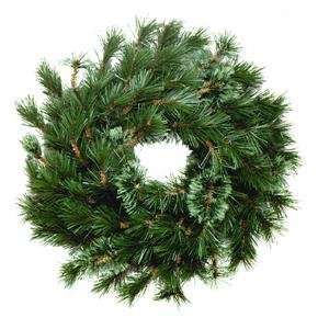   W01 24W National 24 Wispy Willow Artificial Wreath