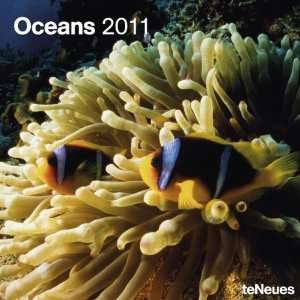 2011 Under The Sea Calendars: Oceans   12 Month   30x30cm:  