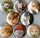 LOL Cats 8 pins buttons badges funny cute kittens new  