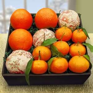 Citrus Duet Gift Basket  Grocery & Gourmet Food