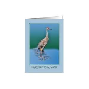  Sisters Birthday, Sandhill Crane Birds Card Health 