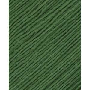  Worsted Semi Solid Yarn 117 Verde Adriana Arts, Crafts & Sewing