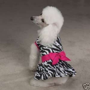   Zack & Zoey Wild Side Zebra Print Dog Dress XX SMALL