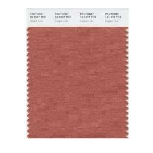   SMART 18 1537X Color Swatch Card, Copper Coin
