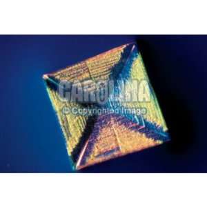 Salt Crystals, w.m., Microscope Slides:  Industrial 