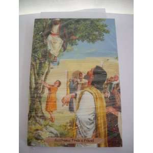  Bible Story Card: Zacchaeus Finds A Friend: Everything 
