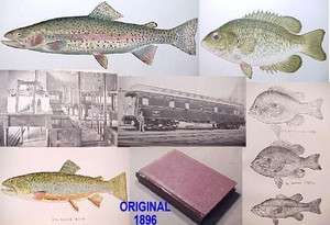 1896 PA RPT~HISTORY FISH HATCHERY FISHING BOAT DAM LAKE ERIE DELAWARE 