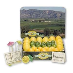 Orchard Fresh Citrus Cooler   Gourmet Gift Pack:  Grocery 