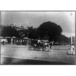   ,streets,horse drawn carriage,tavern,Havana,Cuba,1890: Home & Kitchen