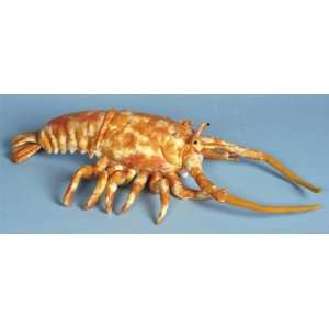  Rock Lobster Puppet 18 by Sunny and Co Toys & Games