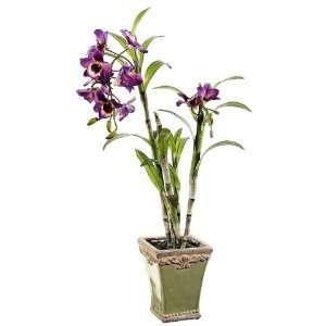   Violet Dendrobium Orchid Silk Flower Plants 24