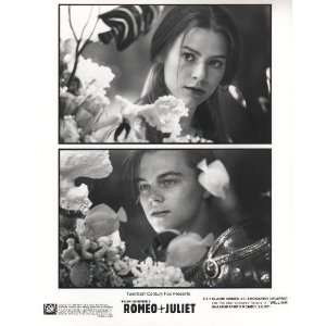  Romeo & Juliet   Movie Poster Print   8 x 10 Everything 