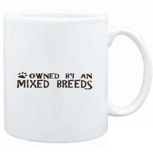 Mug White  OWNED BY Mixed Breeds  Dogs  Sports 