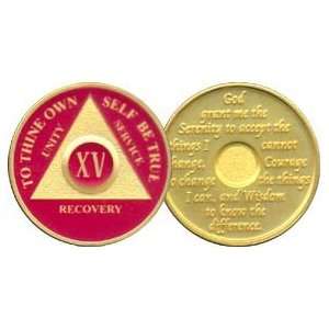   Anniversary Recovery Medallion / Coin / Chip   Red: Everything Else
