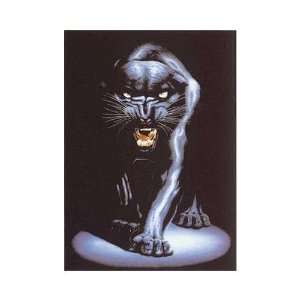  Black Panther ( Meiklejohn) Poster Print