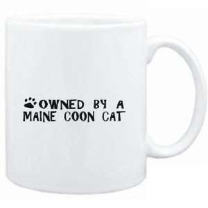    Mug White  OWNED BY a Maine Coon  Cats: Sports & Outdoors
