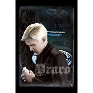  Harry Potter and the Half Blood Prince   Draco, 20 x 30 