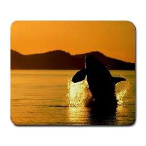  Whale Large Mousepad mouse pad Great Gift Idea Office 