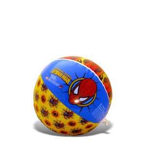    Children Party Favors Spiderman Beach ball: Everything Else