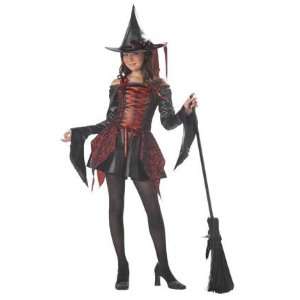  Abracadabra Witch Child Costume   X Large (12 14) Toys 