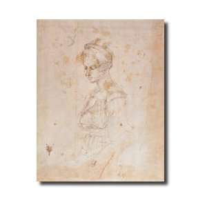 W41 Sketch Of A Woman Giclee Print 