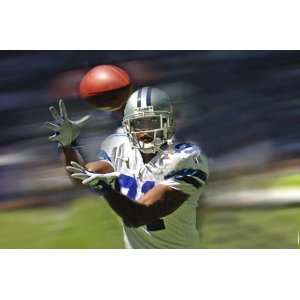  Roy Williams Dallas Cowboys   Focused   16x20 Portrait 