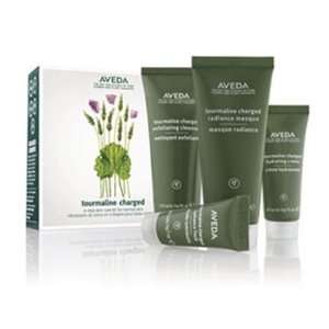  Aveda Botanical Kinetics 4 step skin care kit to balance 