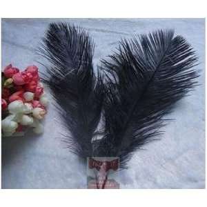  20 Pieces Black Ostrich Feather 8 12 to Decorate Tower 