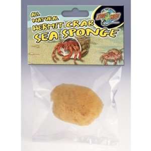  Zoo Med Hermit Crab Sea Sponge: Pet Supplies