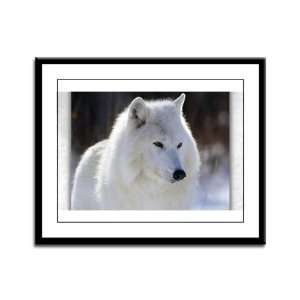  Framed Panel Print Arctic White Wolf: Everything Else