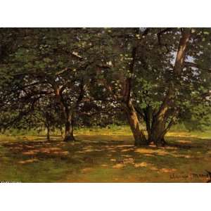   oil paintings   Claude Monet   24 x 18 inches   Fontainebleau Forest