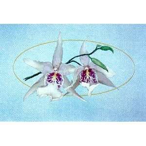    123 Orchids, Cross Stitch from Silver Lining Arts, Crafts & Sewing