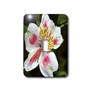 WhiteOak Photography Floral Prints   Tiger Lily   Light Switch Covers 