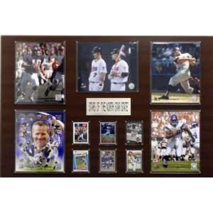 24 x 36 Plaque The Northern Star State:  Sports & Outdoors