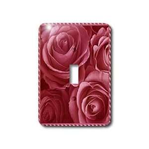   pink roses surrounded by a striped frame   Light Switch Covers