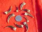 10 pc REAL COYOTE COYOTOE CLAWS TOES ARTS CRAFTS POW WOW  