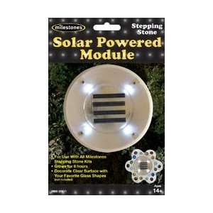  Solar Powered Module; 2 Items/Order