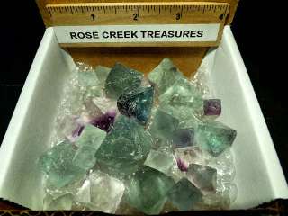 FLUORITE OCTAHEDRON Collection Natural Crystal Specimens Green Blue 