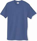 Hanes T Shirt Blank Plain 5170 50/50 Cotton/Polyester 5.5 oz 