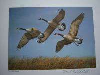 Plasschaert Richard 1982 North Dakota Duck Stamp Print  
