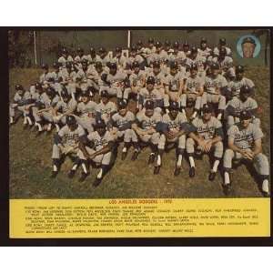   : 1972 Los Angeles Dodgers Team Photo   MLB Photos: Sports & Outdoors