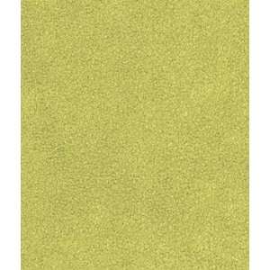  Key Lime Green Sensuede Fabric Arts, Crafts & Sewing