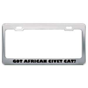 Got African Civet Cat? Animals Pets Metal License Plate Frame Holder 
