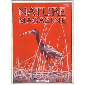 Nature Magazine June 1926: American Nature Association, D. V. England 