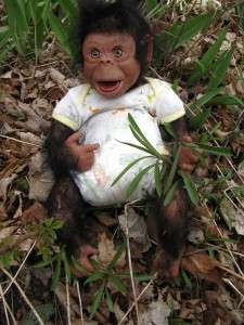   Lifelike Newborn Realistic baby girl Chimpanzee Monkey Chimp Ape OOAK