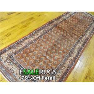  10 9 x 3 4 Botemir Hand Knotted Persian rug