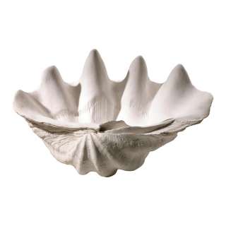 Contemporary Large Decorative 21 White Clam Shell Bowl  